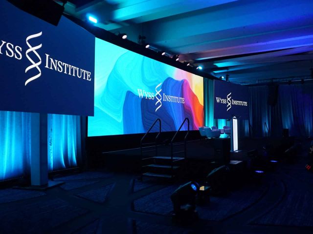 Wyss institute